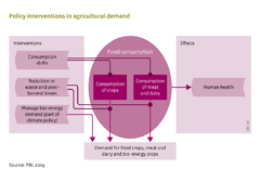 Policy interventions in agricultural demand