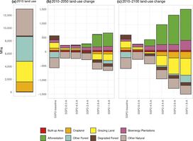 (a) Land use in 2010. Land-use change in (b) 2010–2050 and (c) 2010–2100 for the scenarios with afforestation (Doelman et al., 2020)