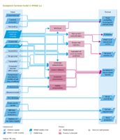 Flowchart Ecosystem services. See also the Input/Output Table on the introduction page.