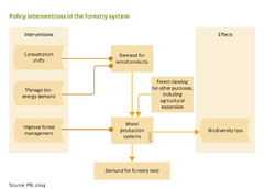 Policy interventions in the forestry system