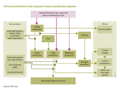 Policy interventions in the crop and livestock production systems