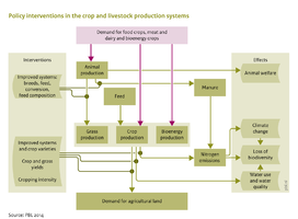 Flowchart Land and biodiversity policies (B). Policy interventions in crop and livestock production systems.