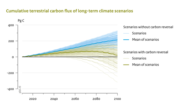 Cumulative terrestrial carbon flux of long-term climate scenarios