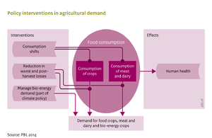 Flowchart Land and biodiversity policies (A). Policy interventions in the agricultural demand system.
