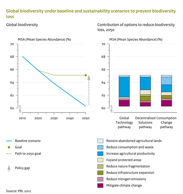 Global biodiversity under baseline and sustainability scenarios to prevent biodiversity loss