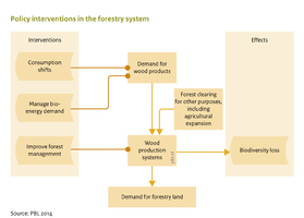Flowchart Land and biodiversity policies (C). Policy interventions targeting the forestry sector.