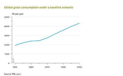 Global grass consumption in baseline scenario