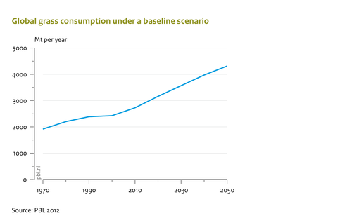 Global grass consumption under a baseline scenario
