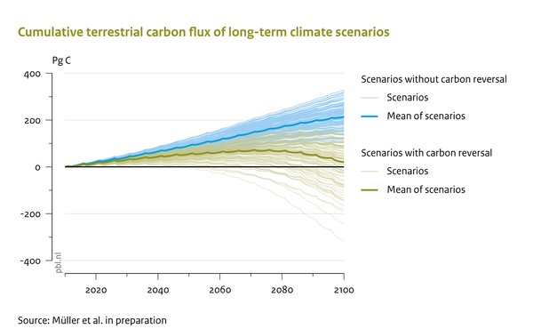 Cumulative terrestrial carbon flux of long-term climate scenarios