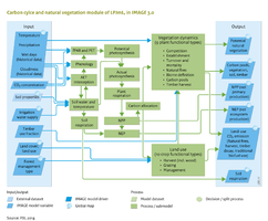 Flowchart Carbon cycle and natural vegetation. See also the Input/Output Table on the introduction page.